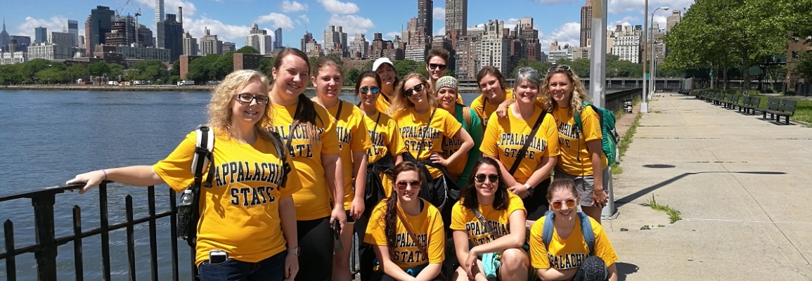 Social Work and Nursing students in New York City