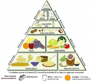 Food pyramid