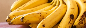 banana header