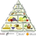 Food pyramid